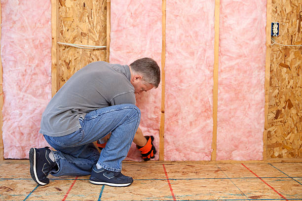 Best Crawl Space Insulation  in Eaton Rapids, MI